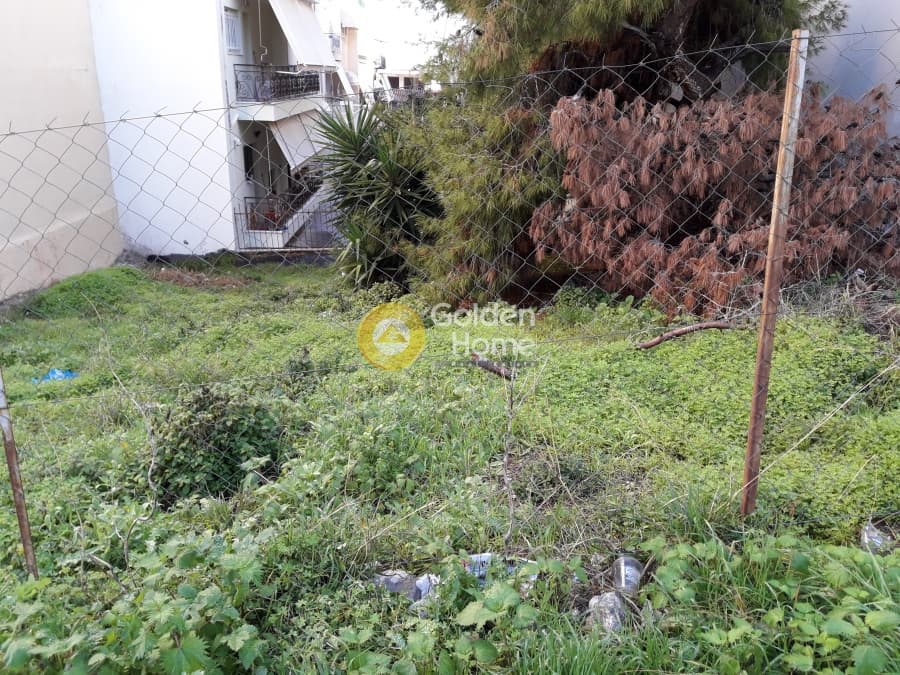 Οικόπεδο στην Πεύκα Βέρδη, Πετρούπολη — Φωτογραφία 4 από 4