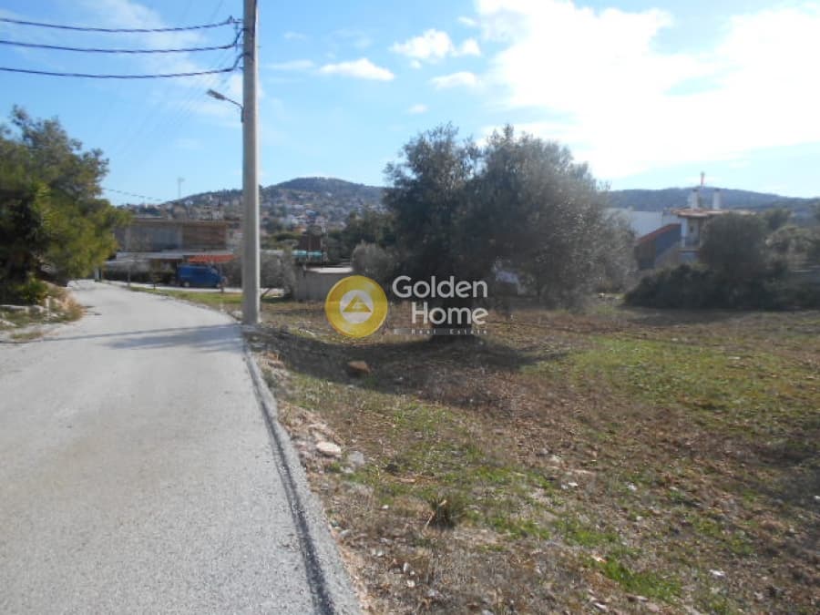 Parcel in Neapoli, Spata — Photo 1 of 12
