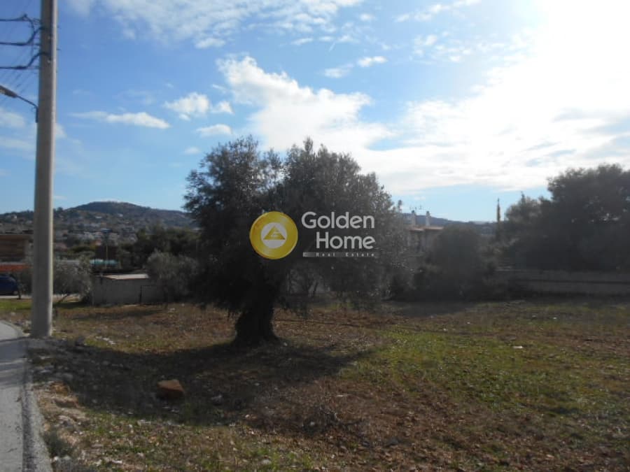 Parcel in Neapoli, Spata — Photo 2 of 12