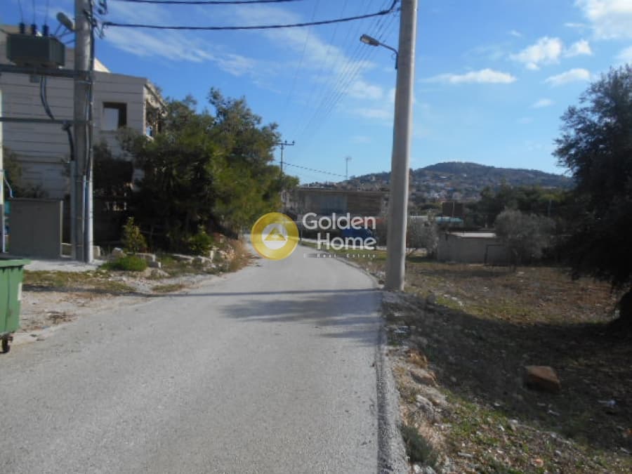 Parcel in Neapoli, Spata — Photo 3 of 12