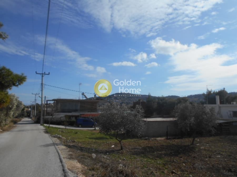 Parcel in Neapoli, Spata — Photo 4 of 12