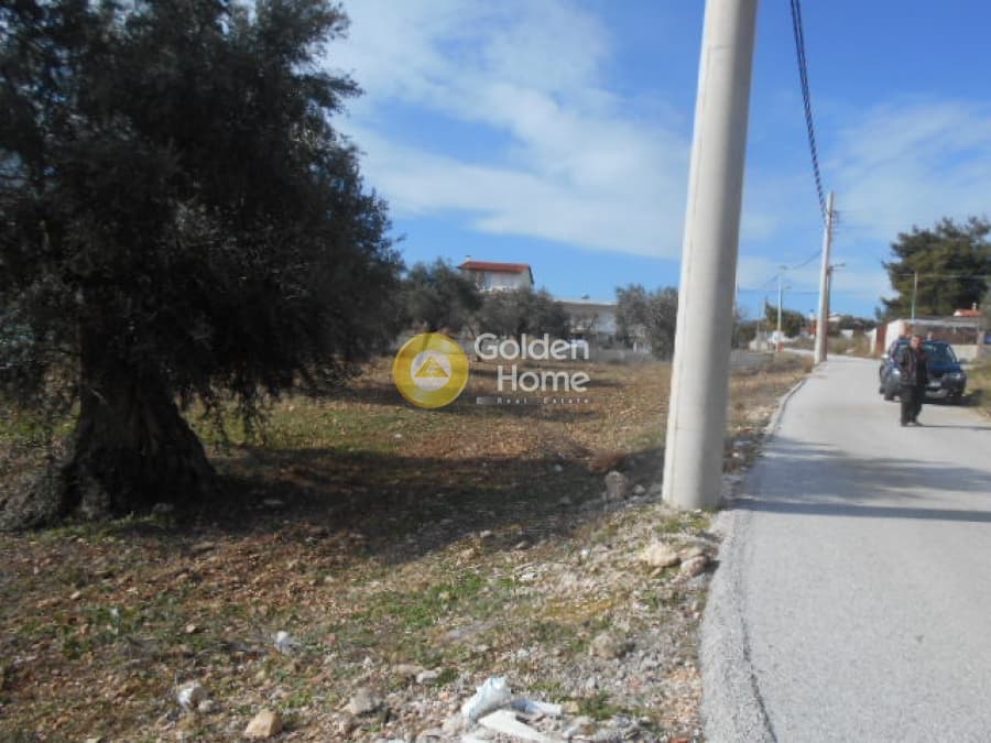 Parcel in Neapoli, Spata — Photo 5 of 12