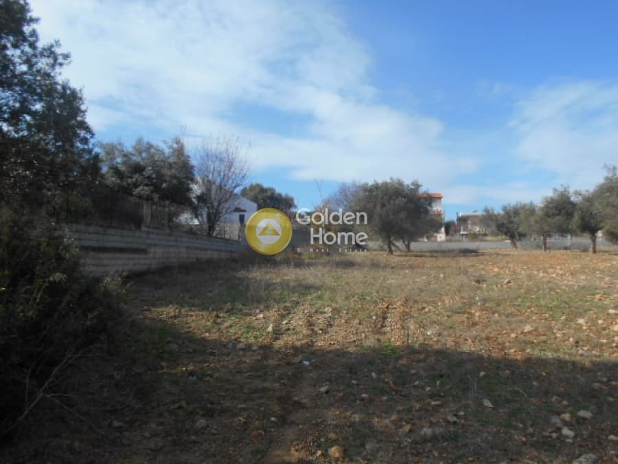Parcel in Neapoli, Spata — Photo 6 of 12