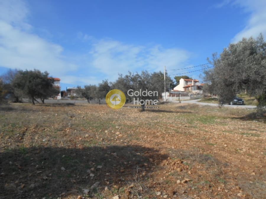 Parcel in Neapoli, Spata — Photo 7 of 12