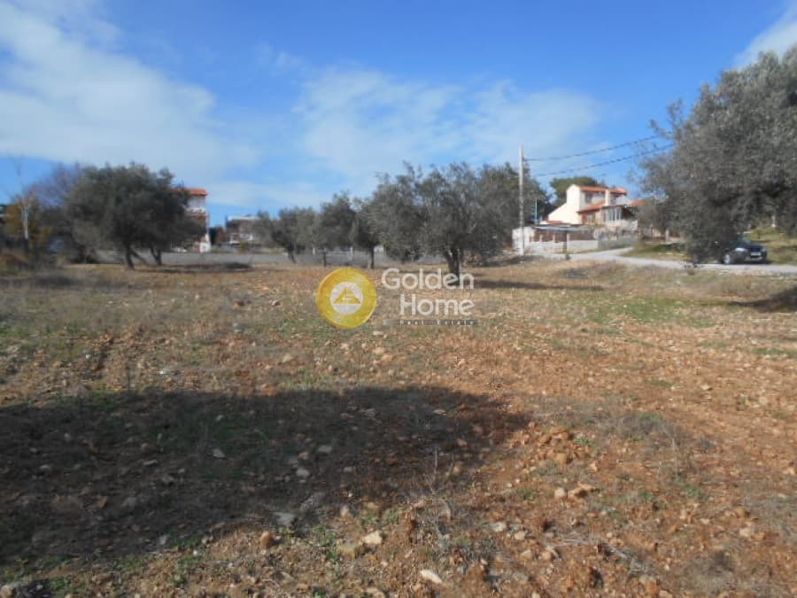 Parcel in Neapoli, Spata — Photo 8 of 12