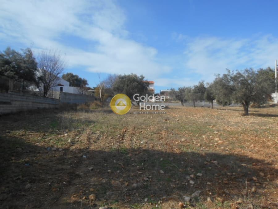 Parcel in Neapoli, Spata — Photo 9 of 12