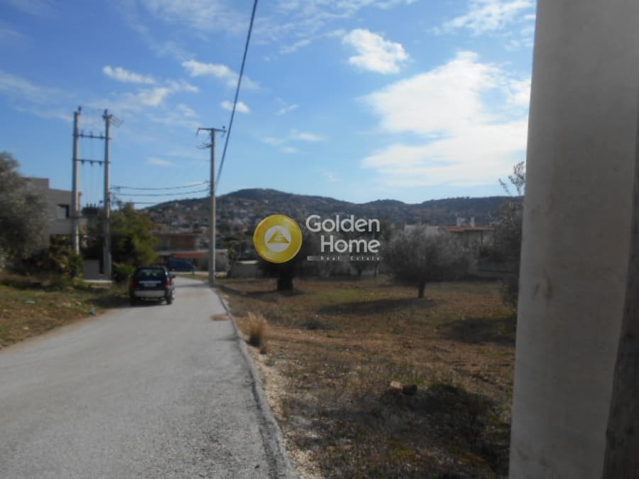 Parcel in Neapoli, Spata — Photo 11 of 12