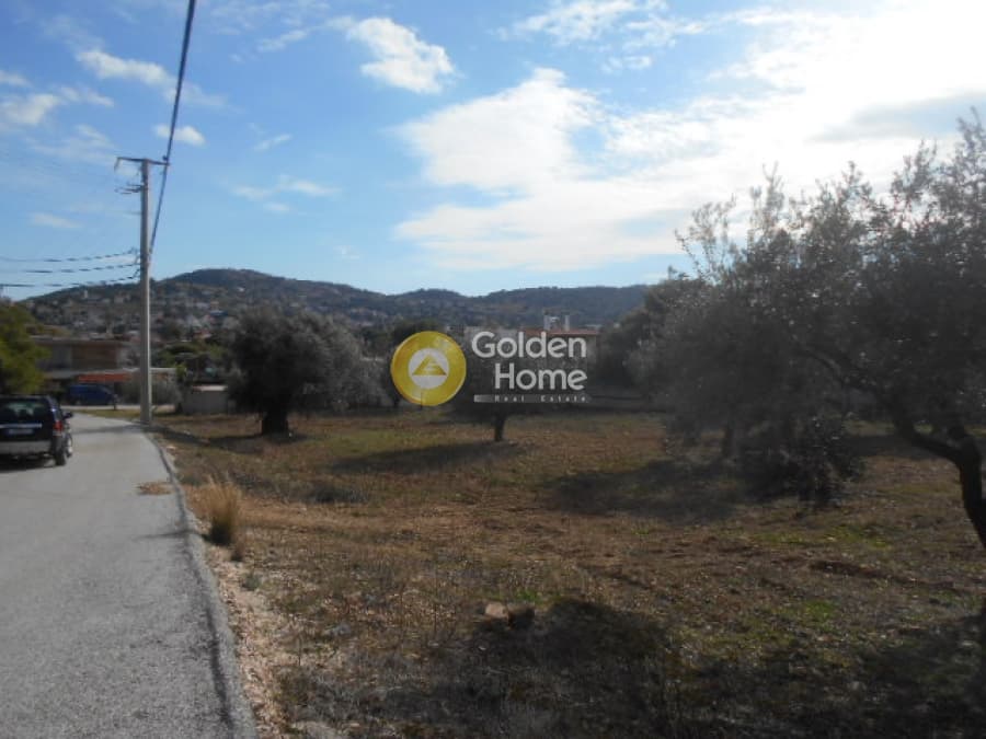 Parcel in Neapoli, Spata — Photo 12 of 12