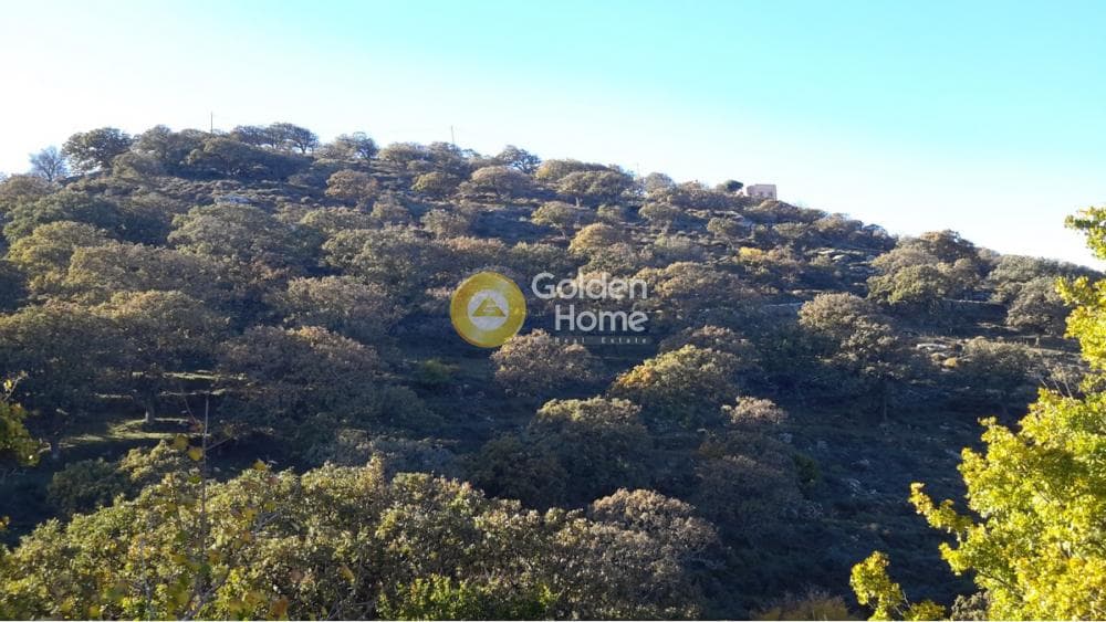 Αγροτεμάχιο στην Πέρα Μεριά, Κέα — Φωτογραφία 2 από 3