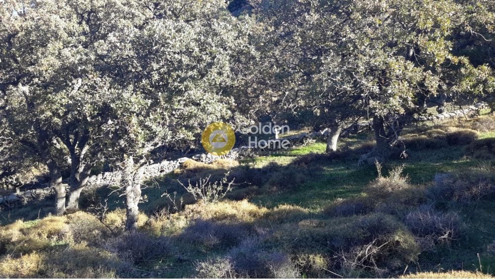 Αγροτεμάχιο στην Πέρα Μεριά, Κέα — Φωτογραφία 3 από 3