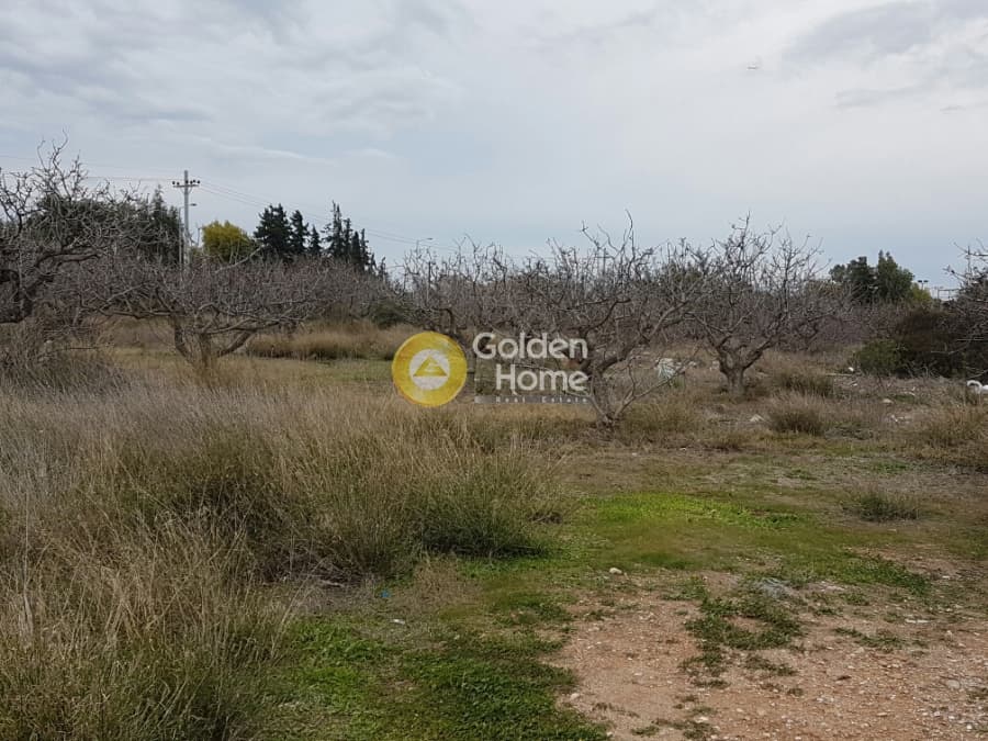 Building Plot in Kalivia, Kalivia Thorikou — Photo 1 of 3