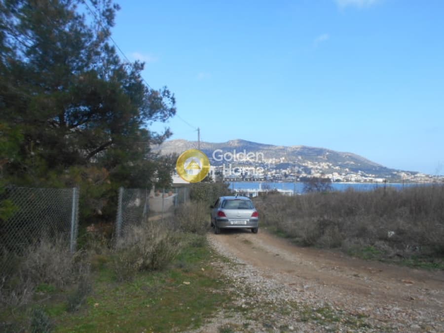 Οικόπεδο στην Πόρτο Ράφτη, Βραυρώνα — Φωτογραφία 10 από 12
