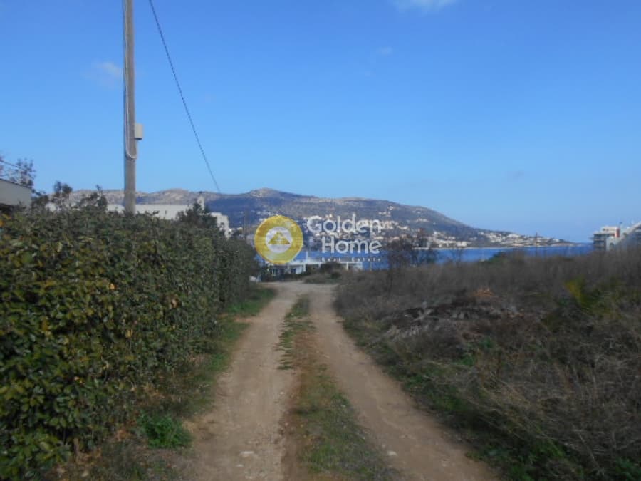 Οικόπεδο στην Πόρτο Ράφτη, Βραυρώνα — Φωτογραφία 12 από 12
