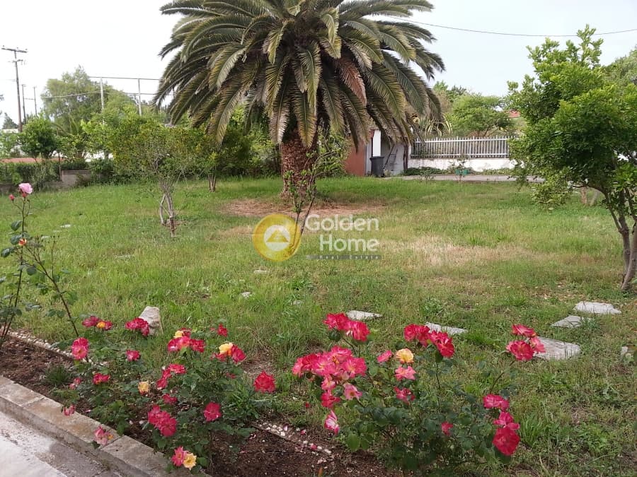 House in Portes, Moudania — Photo 2 of 13