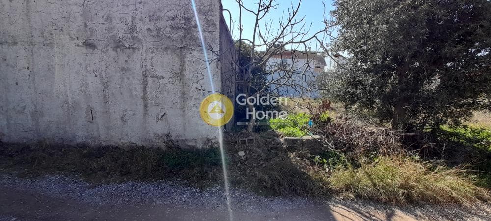 Οικόπεδο στην Μεγάλα Σχοινία Α, Αχαρνές — Φωτογραφία 13 από 22