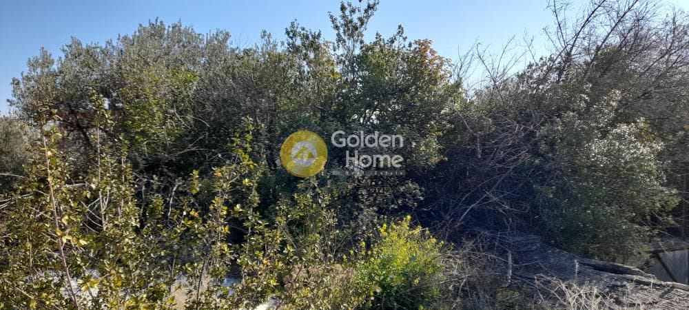 Οικόπεδο στην Μεγάλα Σχοινία Α, Αχαρνές — Φωτογραφία 16 από 22