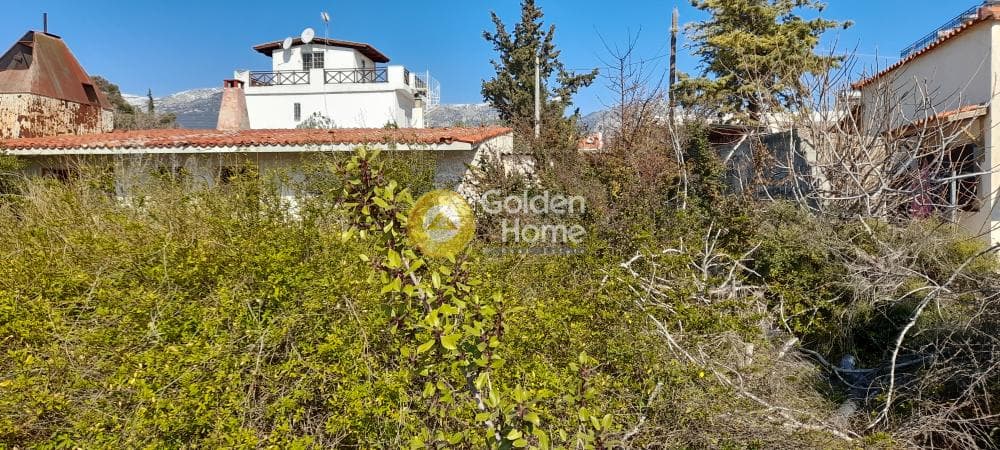 Οικόπεδο στην Μεγάλα Σχοινία Α, Αχαρνές — Φωτογραφία 22 από 22