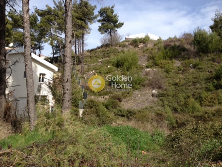 Building Plot in Rodopoli, Rodopoli — Photo 2 of 5