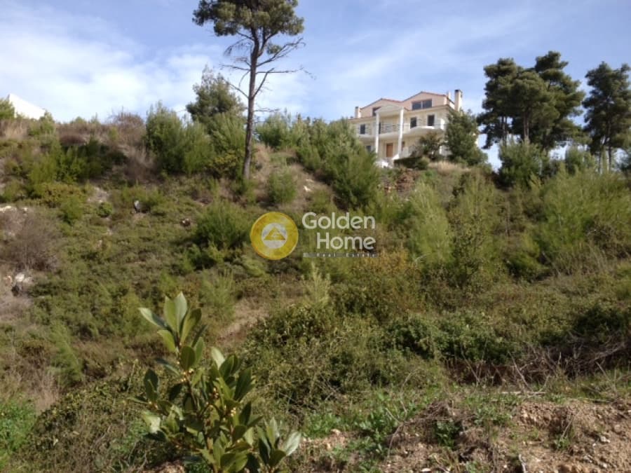 Building Plot in Rodopoli, Rodopoli — Photo 3 of 5