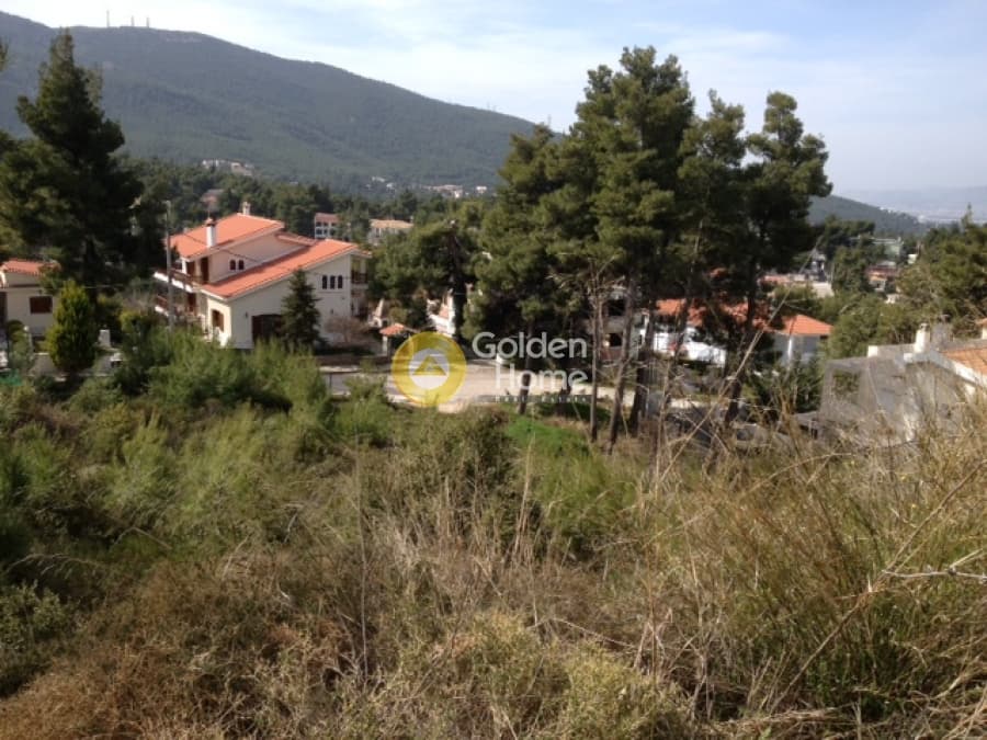Building Plot in Rodopoli, Rodopoli — Photo 4 of 5