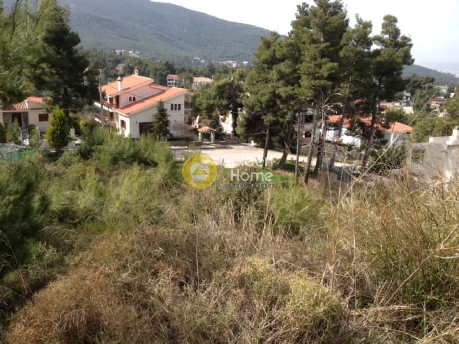 Building Plot in Rodopoli, Rodopoli — Photo 5 of 5