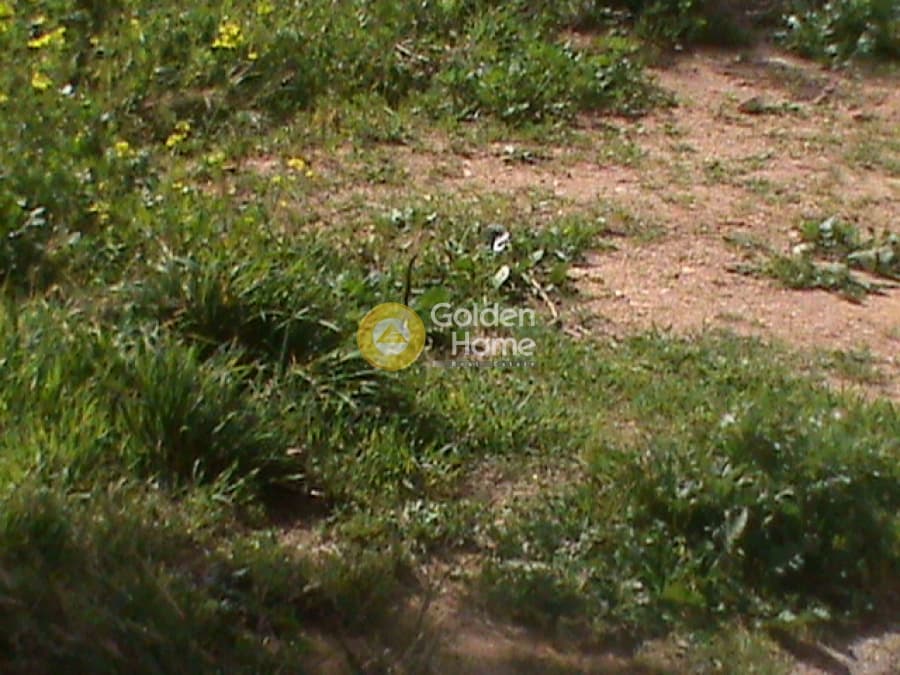 Building Plot in Dasamari, Pikermi — Photo 1 of 5
