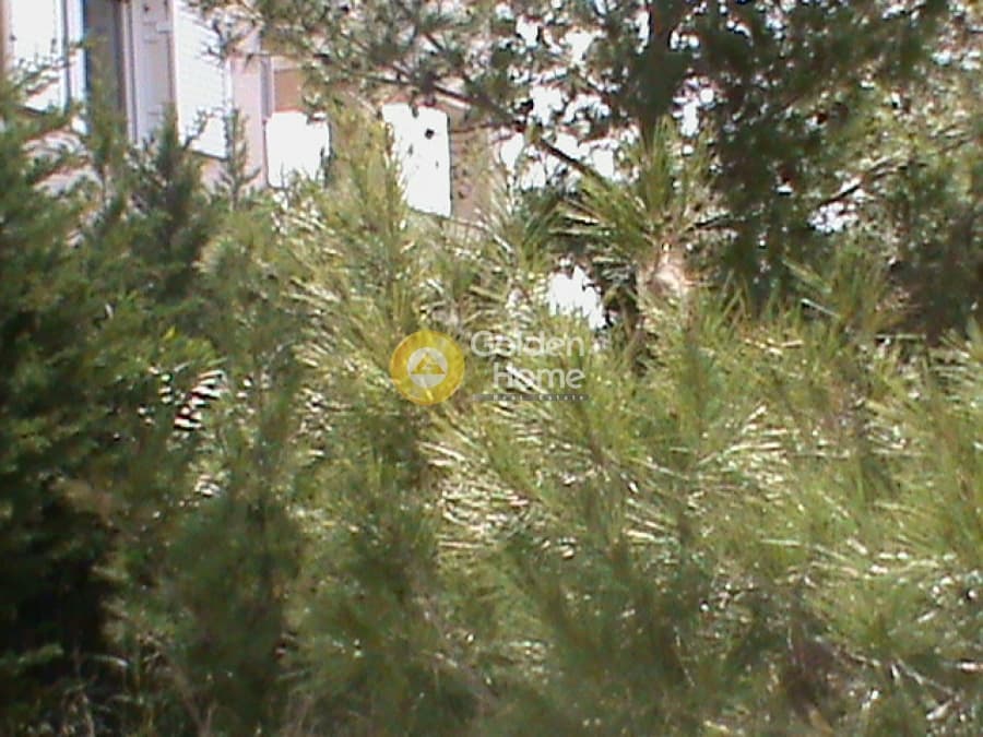 Building Plot in Dasamari, Pikermi — Photo 5 of 5