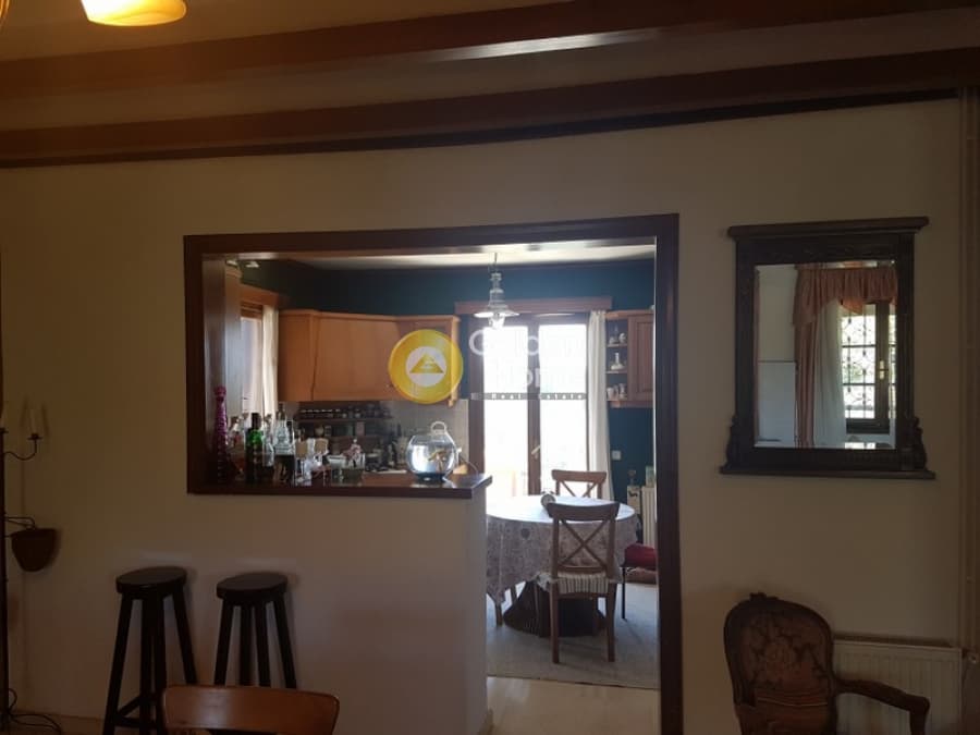 Μονοκατοικία στην Καλλιθέα, Πεντέλη — Φωτογραφία 3 από 31