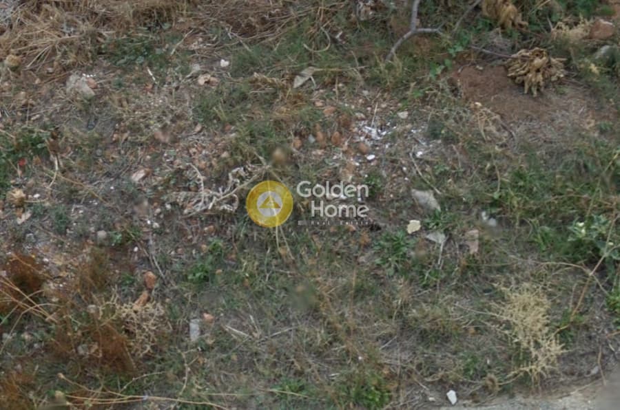 Αγροτεμάχιο στην Μεγάλα Σχοινία Α, Αχαρνές — Φωτογραφία 1 από 4