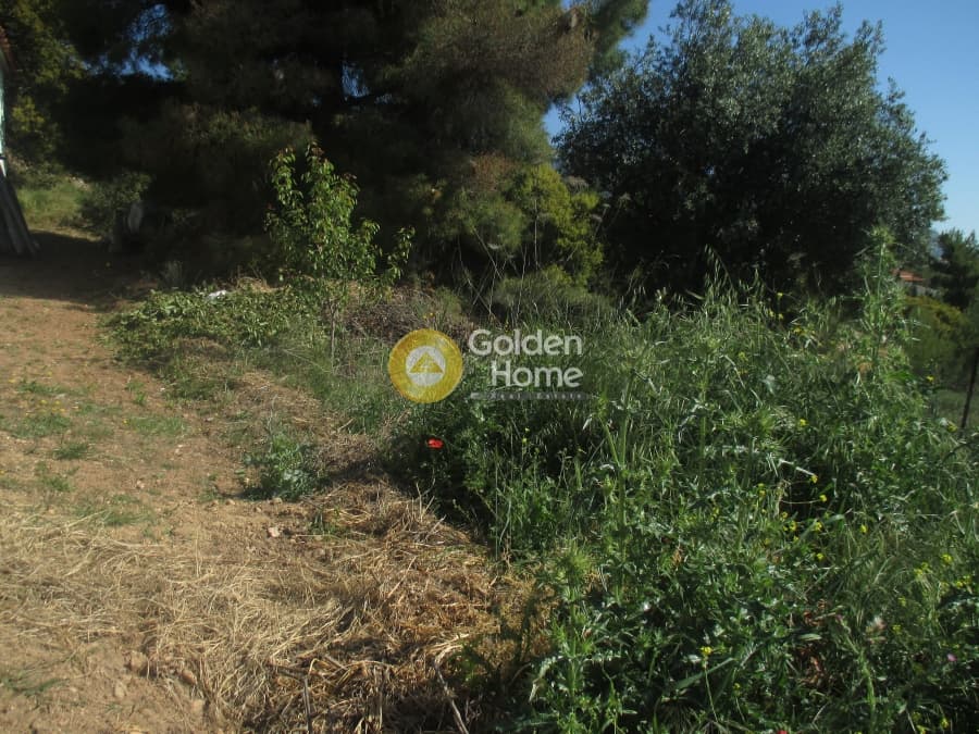 Αγροτεμάχιο στην Μεγάλα Σχοινία Α, Αχαρνές — Φωτογραφία 2 από 4