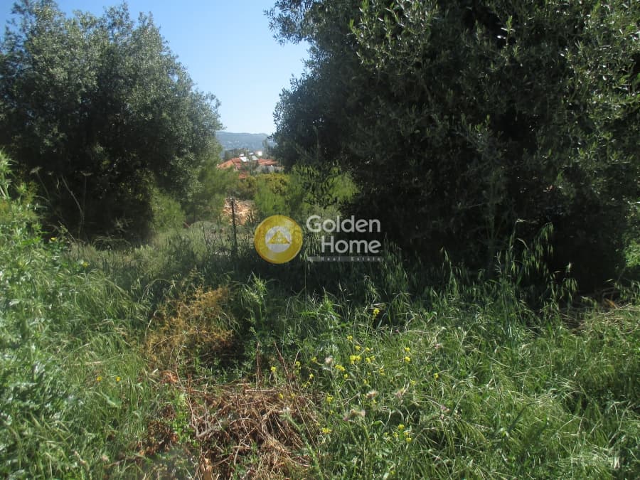 Αγροτεμάχιο στην Μεγάλα Σχοινία Α, Αχαρνές — Φωτογραφία 4 από 4