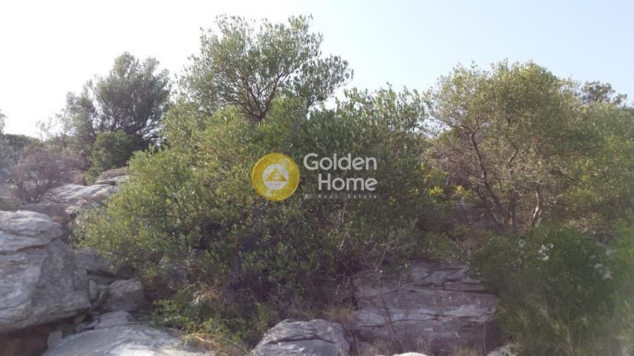 Οικόπεδο στην Άγιος Παντελεήμονας, Νέα Μάκρη — Φωτογραφία 7 από 15