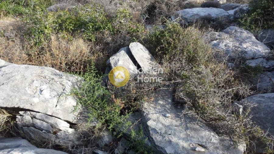 Οικόπεδο στην Άγιος Παντελεήμονας, Νέα Μάκρη — Φωτογραφία 13 από 15