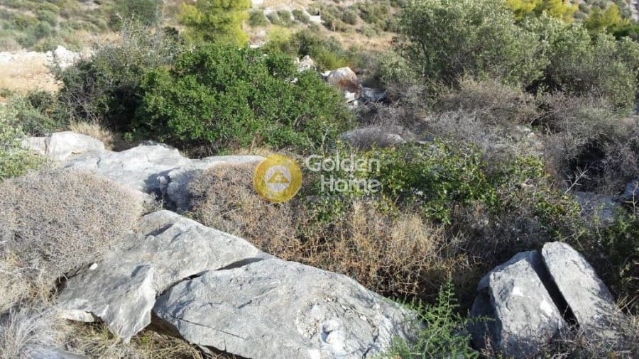 Οικόπεδο στην Άγιος Παντελεήμονας, Νέα Μάκρη — Φωτογραφία 15 από 15