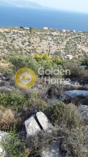 Οικόπεδο στην Άγιος Παντελεήμονας, Νέα Μάκρη — Φωτογραφία 11 από 15