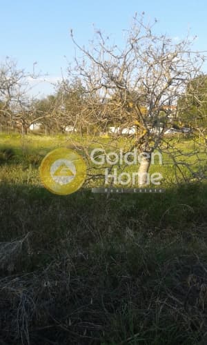 Parcel in Koulidas, Markopoulo — Photo 2 of 2