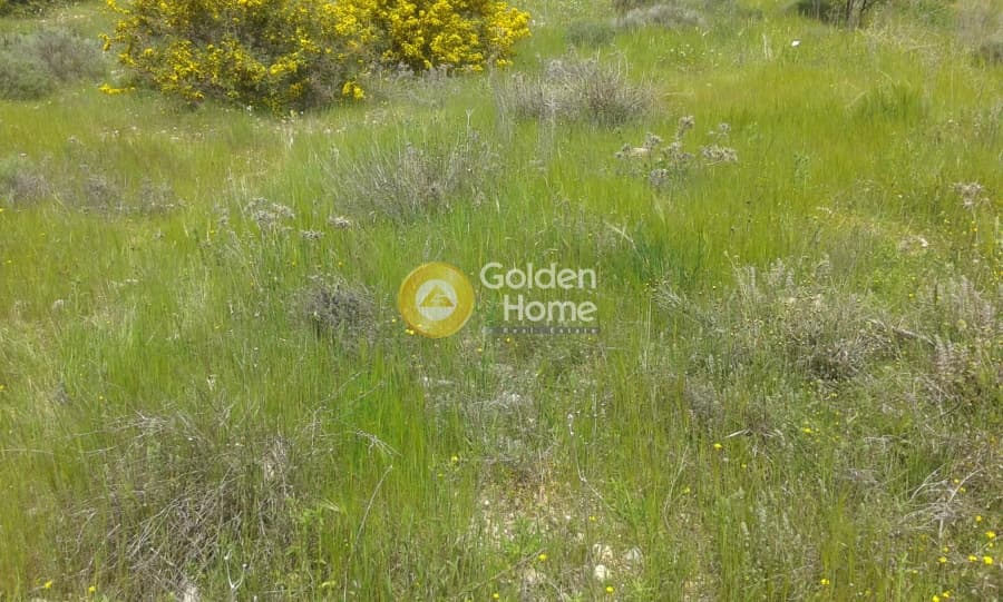 Building Plot in Galazia akti, Kalivia Thorikou — Photo 6 of 7