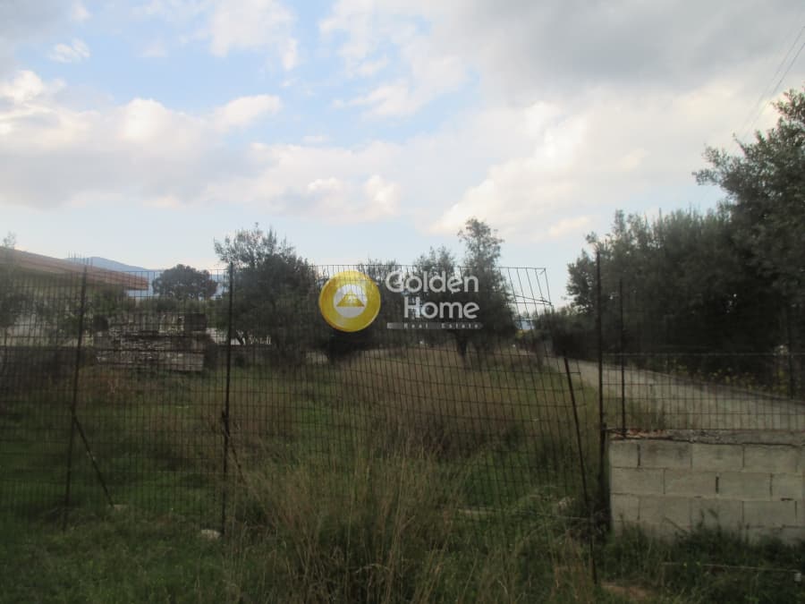 Αγροτεμάχιο στην Μεγάλα Σχοινία Α, Αχαρνές — Φωτογραφία 2 από 4