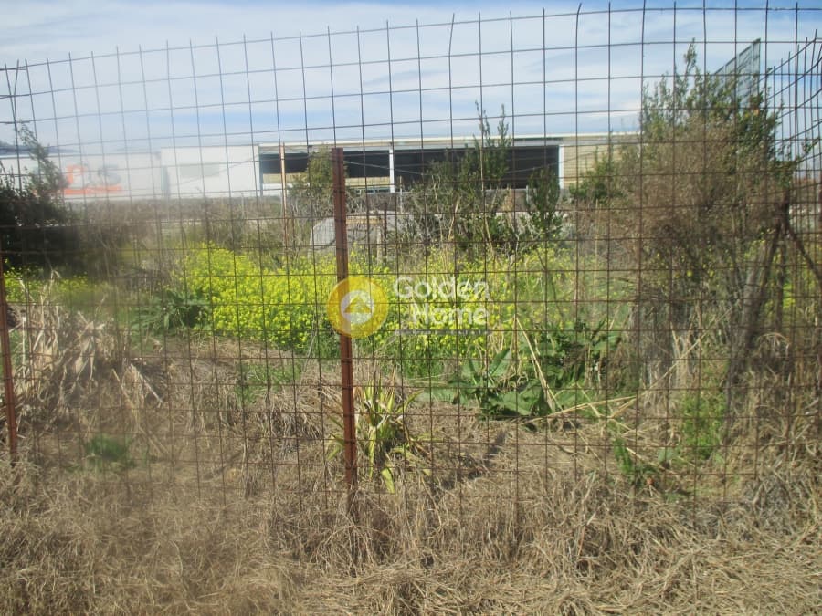 Αγροτεμάχιο στην Μεγάλα Σχοινία Α, Αχαρνές — Φωτογραφία 2 από 2