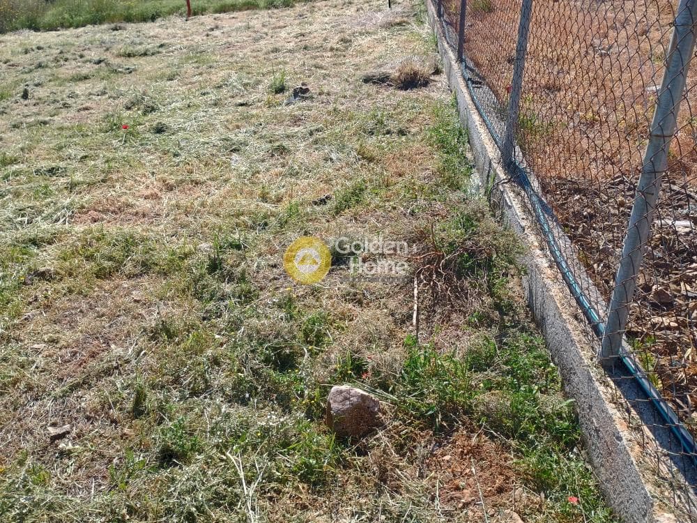 Building Plot in Center, Keratea — Photo 7 of 18