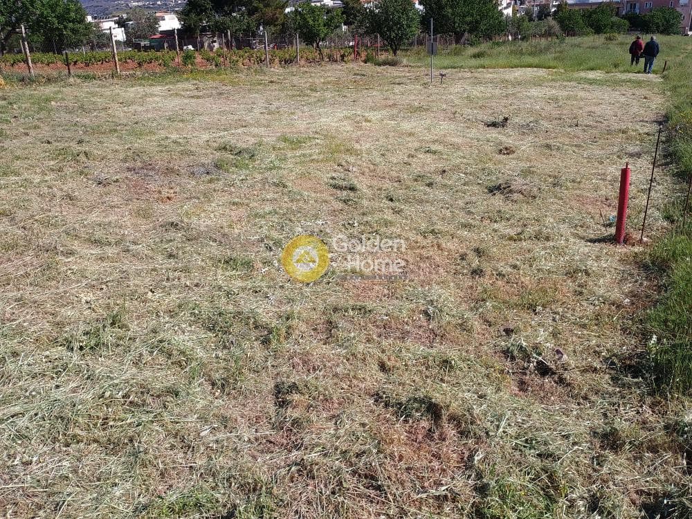 Building Plot in Center, Keratea — Photo 5 of 18