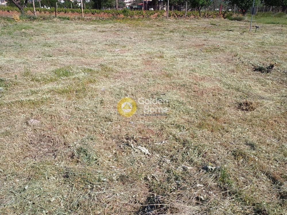 Building Plot in Center, Keratea — Photo 11 of 18