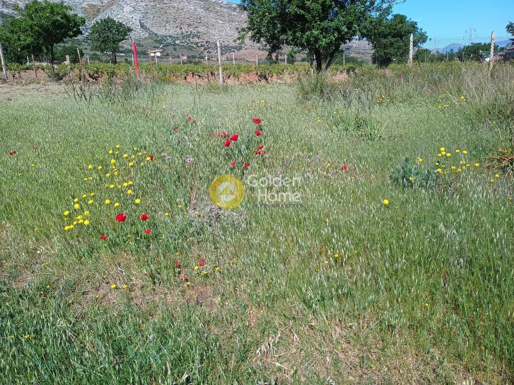 Building Plot in Center, Keratea — Photo 18 of 18