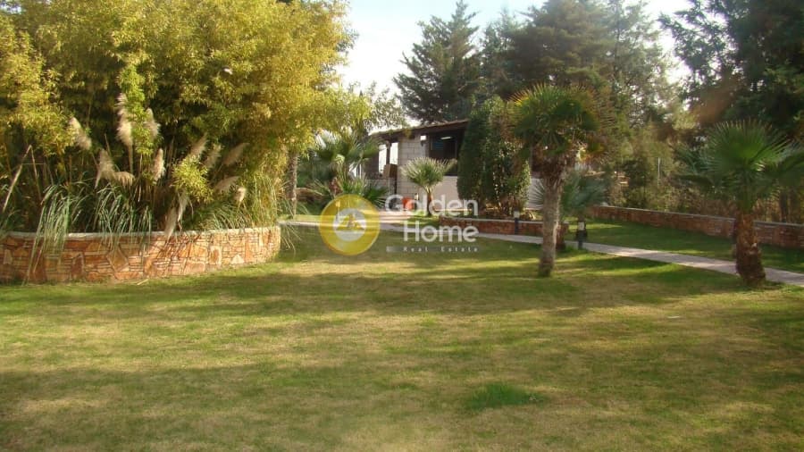 Μονοκατοικία στην Αγία Παρασκευή, Βασιλικά — Φωτογραφία 3 από 18