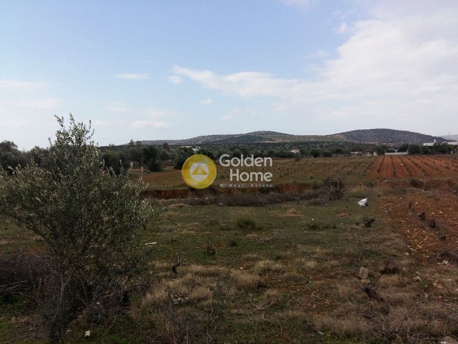 Parcel in Lamprika, Koropi — Photo 1 of 2