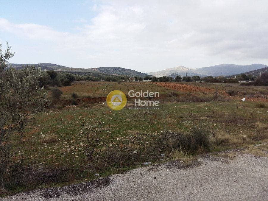 Parcel in Lamprika, Koropi — Photo 2 of 2