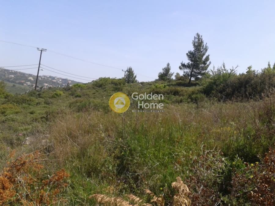 Building Plot in Center, Pikermi — Photo 5 of 13