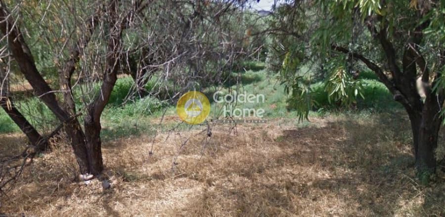 Building Plot in Kesaria, Pallini