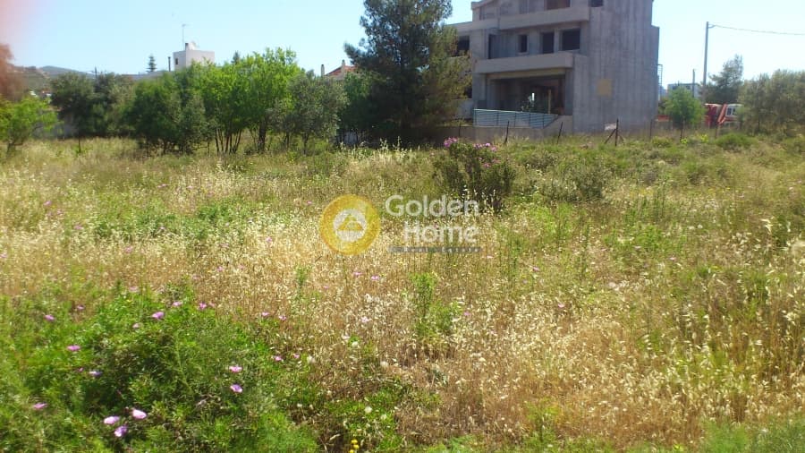 Οικόπεδο στην Πάτημα, Χαλάνδρι — Φωτογραφία 3 από 3