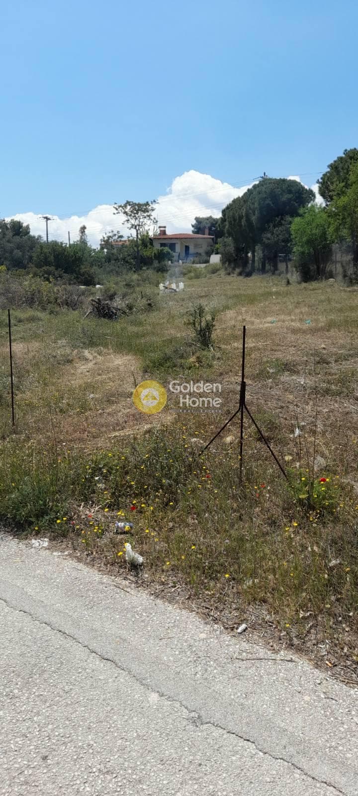 Αγροτεμάχιο στην Νεάπολη, Σπάτα — Φωτογραφία 1 από 6